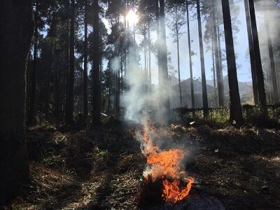 山火事