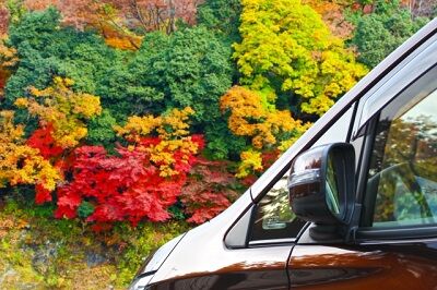 ミニバン（紅葉）