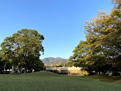公園
