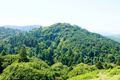 山林