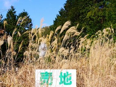 売地